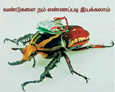 வண்டுகளை நம் எண்ணப்படி இயக்கலாம்! 201503231244478154_Our-bees-Enable-opinion_SECVPF