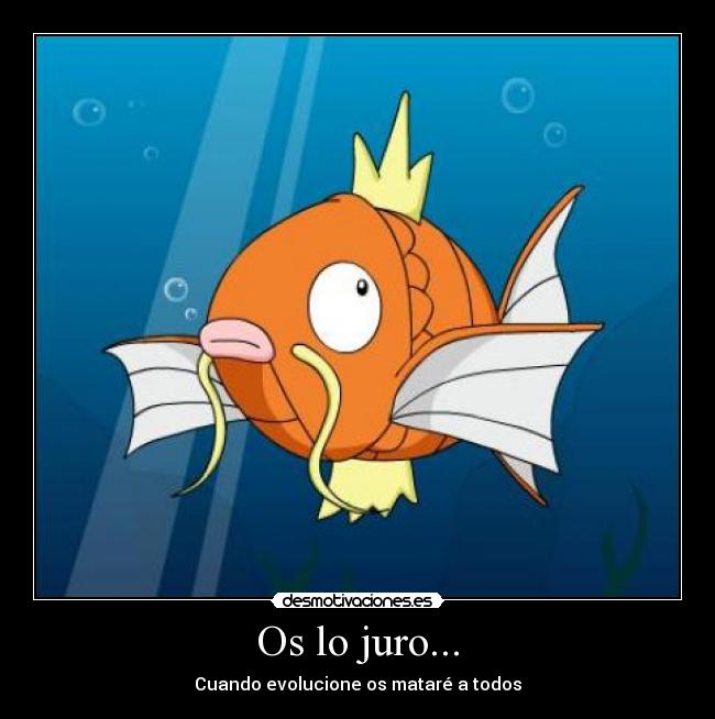 Hilo General - Pokémon GO Magikarp_3