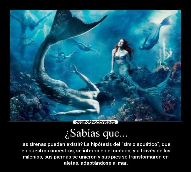  CITAS CELEBRES, DESMOTIVACIONES...... - Página 18 Mermaidcity