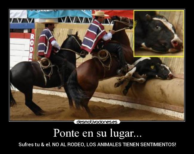 Consideras el rodeo un deporte ?  Rodeochilenomaltratoanimaltorturatradiciondeporteespecismoseptiembre