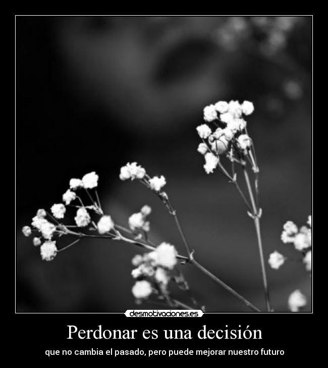 FRASES, PENSAMIENTOS,REFLEXIONES... - Página 16 Tumblr_lwqutdbzsm1qbqq5fo1_500