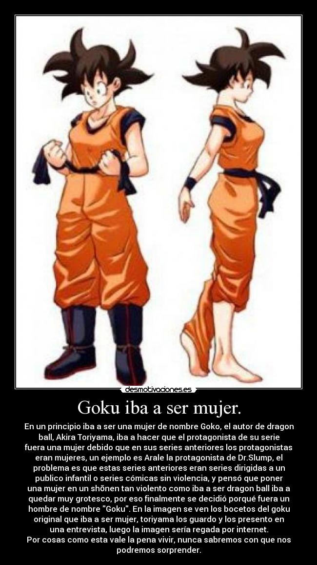 Informacion de Interesates Anime y Manga Goku_6