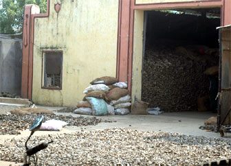 ஐஸ்கிரீம், சாக்லேட், கிரீம் கேக்குகளில் மாட்டு எலும்பு பவுடர் : Tblfpnnews_76253473759