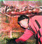 துருக்கி மலைச் சிகரத்தில் இருப்பது நோவாவின் கப்பலா? Tblworldnews_45566523076