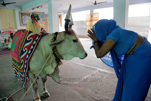 புகழ்பெற்ற ஜெகந்நாதர் தேரோட்டம் E_1309840820