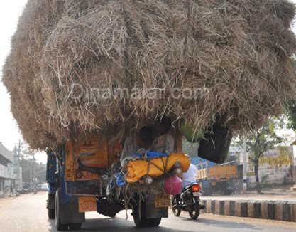 படமும் செய்தியும் - Page 3 WR_20130131235058