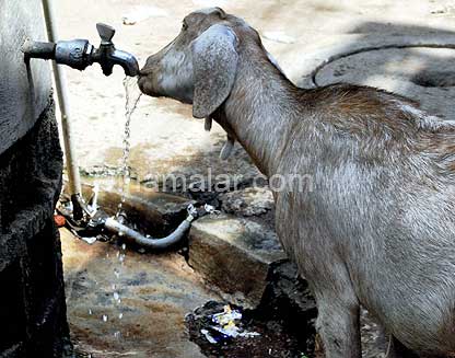 பேசும் படம் - தினமலர் WR_20130506235813