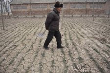 Doce millones de hectáreas se pierden cada año a causa de la desertificación Fotonoticia_20120615122152_225