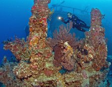 Un cambio climático llevó a los arrecifes de coral a un colapso total Fotonoticia_20120706111908_225