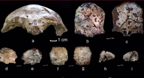 Descubren los huesos más antiguos de humanos modernos en el sudeste de Asia Fotonoticia_20120821104112_500