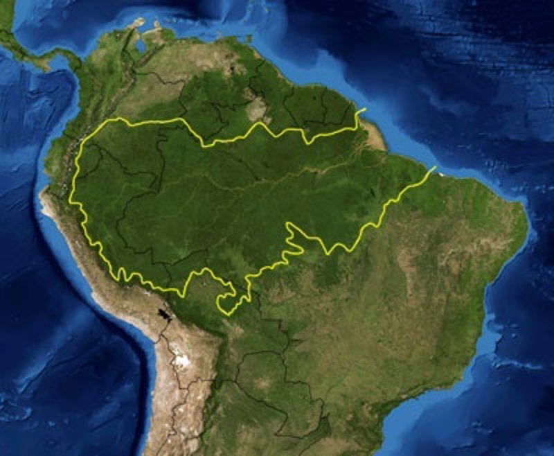 La UE, Brasil y la NASA medirán el efecto de la Amazonía en el cambio climático Fotonoticia_20131011142050_800