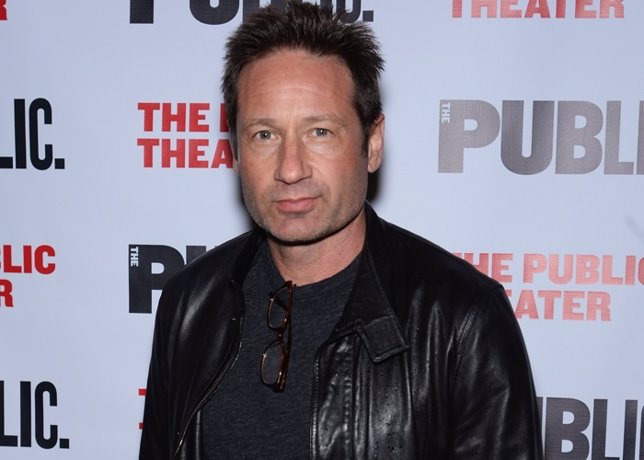 El disco de Duchovny es turra de la buena Fotonoticia_20150415105140_644