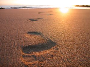 Quatre pas dans le sable Footsteps-on-the-sand_2438599