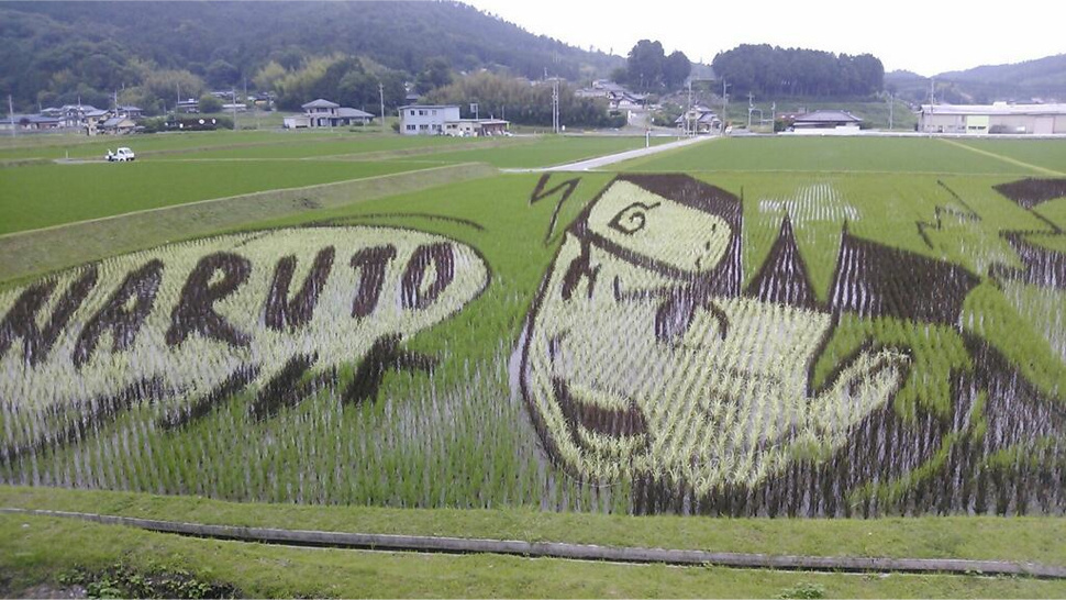 Faire de l'art......avec des champs de riz!! Otaku-ricefield K-bigpic