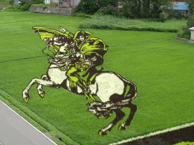 Faire de l'art......avec des champs de riz!! Otaku-ricefield Ku-xlarge