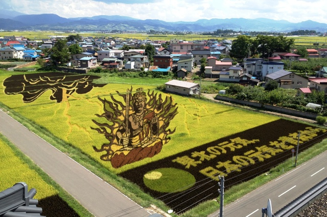 Faire de l'art......avec des champs de riz!! Otaku-ricefield Ku-xlarge