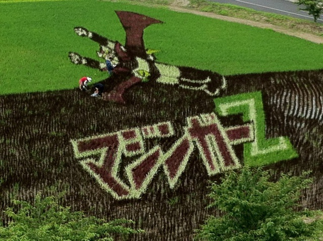 Faire de l'art......avec des champs de riz!! Otaku-ricefield Ku-xlarge