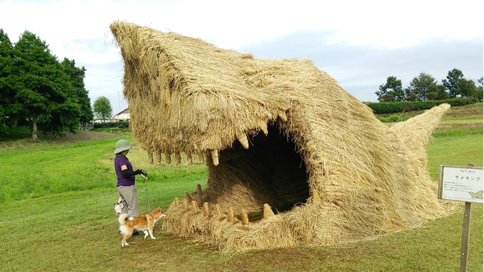 Faire de l'art......avec des champs de riz!! Otaku-ricefield Ku-bigpic