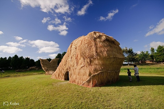 Faire de l'art......avec des champs de riz!! Otaku-ricefield Ku-xlarge