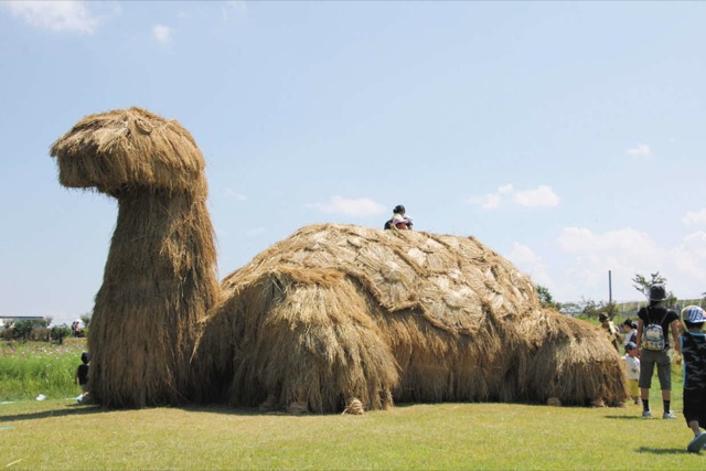 Faire de l'art......avec des champs de riz!! Otaku-ricefield Ku-xlarge