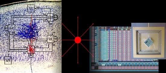 Chips neuromórficos podem simular neurônios do cérebro humano 23942179430182043