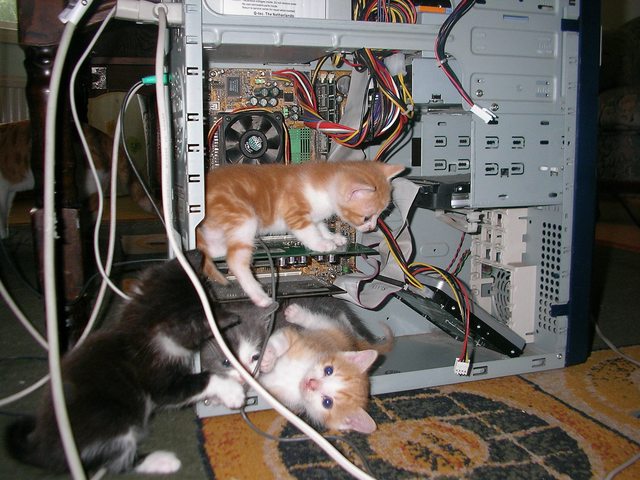 Images pour rire ou pour pleurer (et chatons) - Page 2 9Z4BkAbl