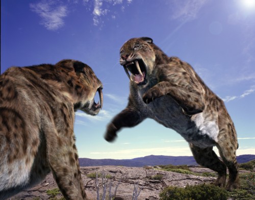 animali preistorici Smilodon_Sabre_Tooth_Cat