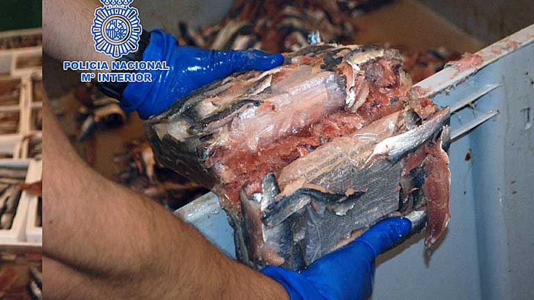 Hachís oculto en cajas de sardinas congeladas