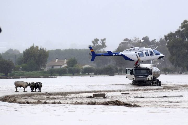 ESPAÑA 10 MUERTOS  y  MILES  de evacuados por las lluvias torrenciales en Andalucía 1348868382675