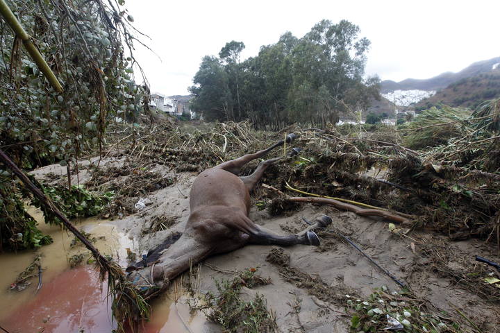 ESPAÑA 10 MUERTOS  y  MILES  de evacuados por las lluvias torrenciales en Andalucía 1348868383883