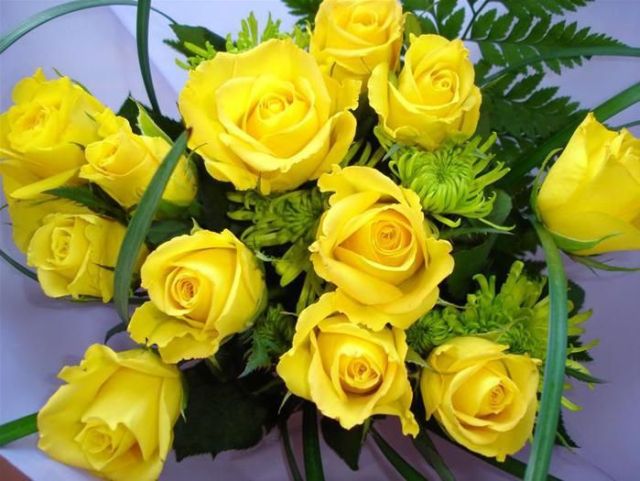 كولكشن ورد :)  Beautiful_yellow_roses_640_14