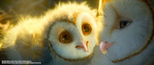 [Super Mini-HD]Legend of The Guardians The Owls of Ga'Hoole นกฮูกผู้พิทักษ์แห่งกาฮูล แรงๆ LGFC-0020