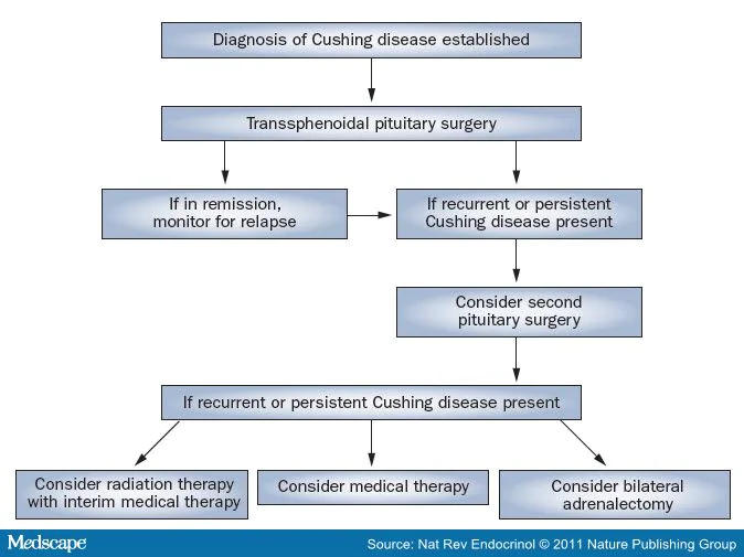 Management of Cushing Disease 736964-figure2