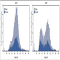 Hepatitis C Virus Infection Among Adolescents and Young Adults 742446-thumb2