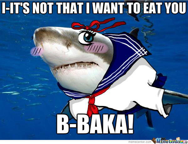 1 - [GAME] Post a random picture - Page 7 Tsundere-shark_o_1675725