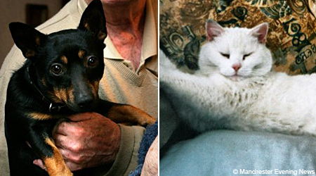 L'amitié, au delà de la mort, d'un chien & d'un chat OscardogMEN_450x250