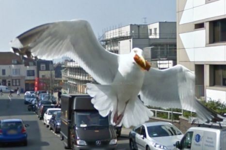 Google Street View catches God fixing West Midlands.... Article-1268919844501-08C53DB3000005DC-37593_466x310