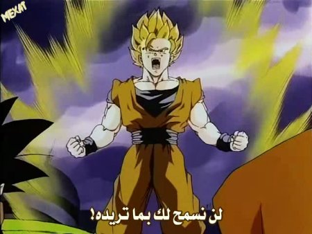 [ .. الفلم الثالث عشر من Dragon Ball Z مترجم عربي .. ] 1173392594