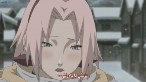 ناروتو شيبودن 206 , Naruto Shippuuden 206 تحميل مشاهدة الحلقة 206 ناروتو مترجمة  1302199072