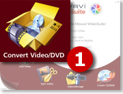 برنامج Movavi VideoSuite 6.1.2 Portable محول فيديو وناسخ ومحرر فيديو والتقاط صور وصان  Choosemodule1