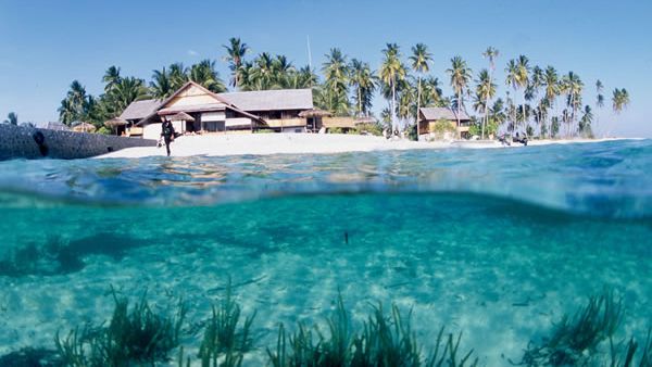 Wangi-Wangi, Gerbang Menuju Surga Laut Wakatobi QA1553RCI0