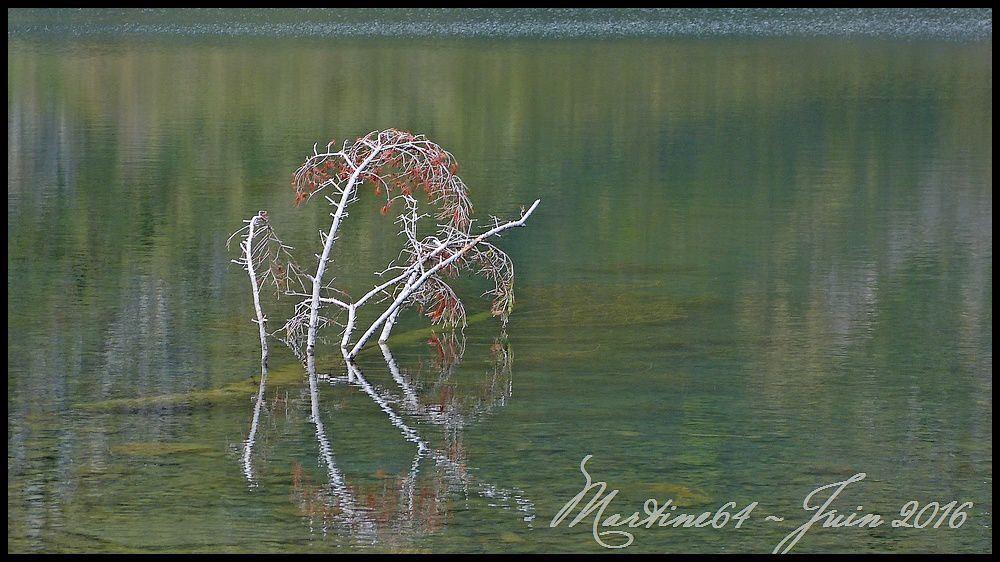 Première sortie en lac de montagne Ob_306aae_p1090432