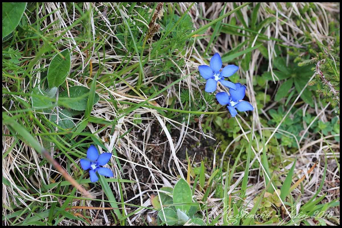 Première sortie en lac de montagne Ob_8f4f7b_img-3331