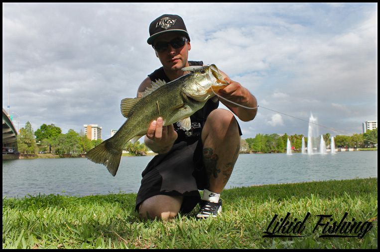 Bass fishing in Orlando, Florida Ob_267159fd8b18d47feef760f8a370a93a_02