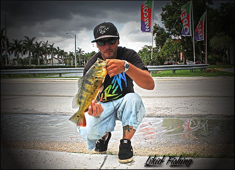 Peacock bass fishing in Miami  Ob_7be23e77ce7122fd97bb39ebe1fb3ca0_26