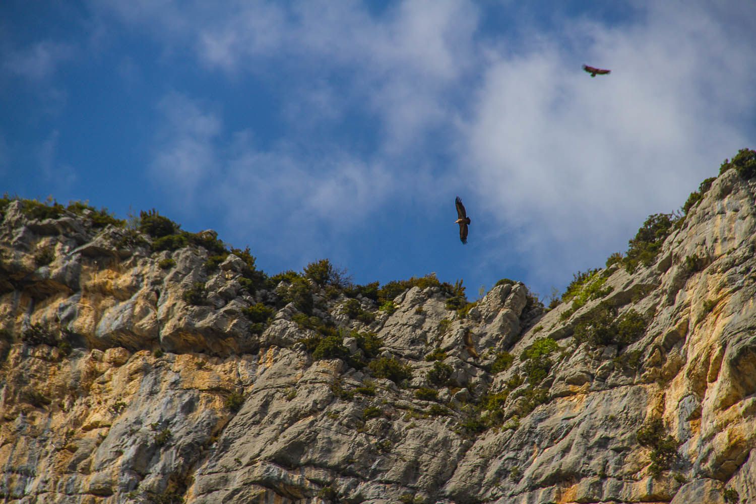 Les Gorges du Verdon : Belles images Ob_c0c96d_18052012-expo-primus-tempus-99