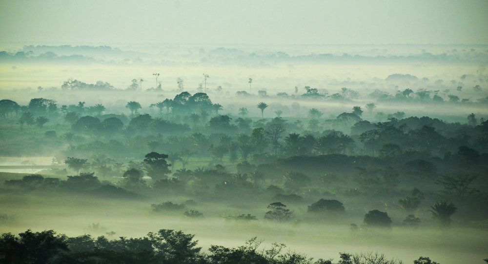 L'Amazonie ancienne était un jardin florissant de plusieurs millions d'habitants Ob_1e391d_1017324588