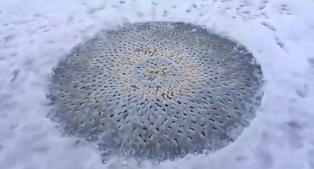 Un étrange objet trouvé en plein milieu d'un lac gelé aux USA Ob_314516_1020332958