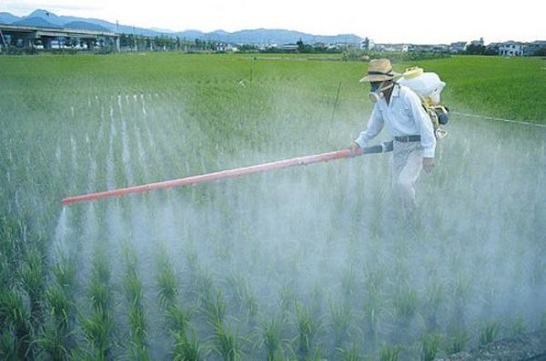  Pesticides : l'empoisonnement de masse continue + le pouvoir est entre nos mains par Akasha  Ob_00d2e2_ob-e4ff4c-pesticide