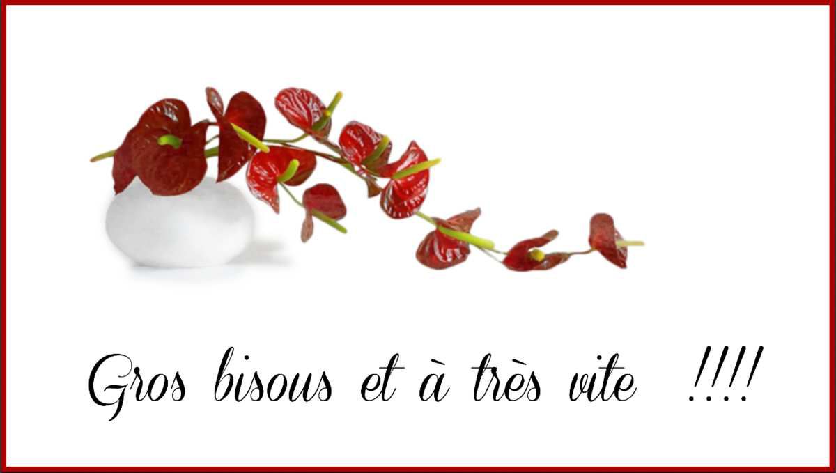 Bonjour tout le monde - Page 8 Ob_f492e3_bis-a-a-tres-vite